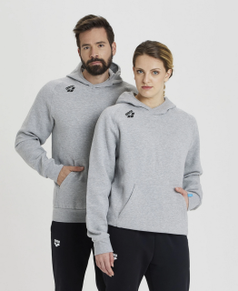 Arena Team Hooded Sweat Panel Grey